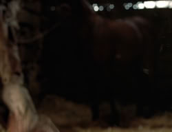 extant_XenaWarriorPrincess_3x02-BeenThereDoneThat_02545