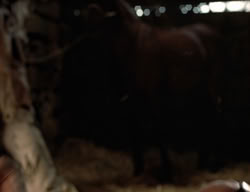 extant_XenaWarriorPrincess_3x02-BeenThereDoneThat_02547