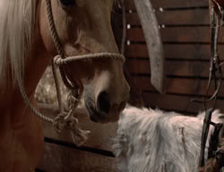 extant_XenaWarriorPrincess_3x02-BeenThereDoneThat_02554