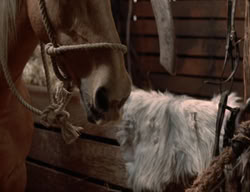 extant_XenaWarriorPrincess_3x02-BeenThereDoneThat_02555