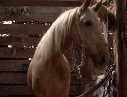 extant_XenaWarriorPrincess_3x02-BeenThereDoneThat_02665