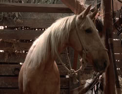 extant_XenaWarriorPrincess_3x02-BeenThereDoneThat_02666