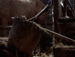 extant_XenaWarriorPrincess_3x02-BeenThereDoneThat_02901