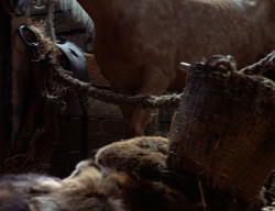extant_XenaWarriorPrincess_3x02-BeenThereDoneThat_02903