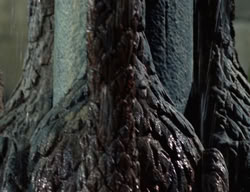 extant_XenaWarriorPrincess_3x02-BeenThereDoneThat_02960