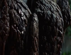 extant_XenaWarriorPrincess_3x02-BeenThereDoneThat_02962