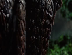 extant_XenaWarriorPrincess_3x02-BeenThereDoneThat_02963
