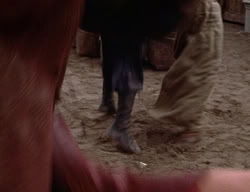 extant_XenaWarriorPrincess_3x02-BeenThereDoneThat_03098