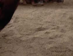 extant_XenaWarriorPrincess_3x02-BeenThereDoneThat_03114