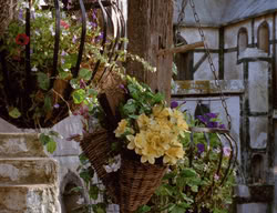 extant_XenaWarriorPrincess_3x02-BeenThereDoneThat_03240