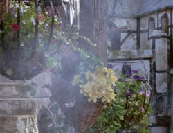 extant_XenaWarriorPrincess_3x02-BeenThereDoneThat_03243