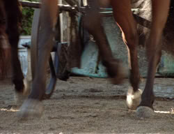 extant_XenaWarriorPrincess_3x02-BeenThereDoneThat_03244
