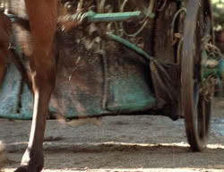 extant_XenaWarriorPrincess_3x02-BeenThereDoneThat_03245