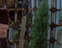 extant_XenaWarriorPrincess_3x02-BeenThereDoneThat_03247