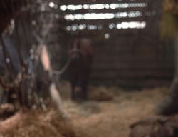 extant_XenaWarriorPrincess_3x02-BeenThereDoneThat_03459