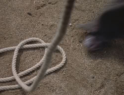 extant_XenaWarriorPrincess_3x03-TheDirtyHalfDozen_00213
