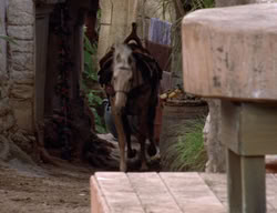 extant_XenaWarriorPrincess_3x03-TheDirtyHalfDozen_00219
