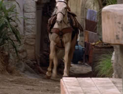 extant_XenaWarriorPrincess_3x03-TheDirtyHalfDozen_00220