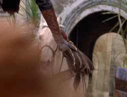 extant_XenaWarriorPrincess_3x03-TheDirtyHalfDozen_00222