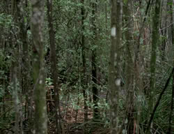 extant_XenaWarriorPrincess_3x03-TheDirtyHalfDozen_00230