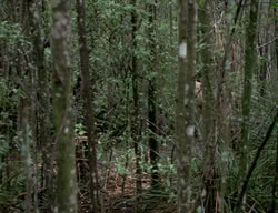 extant_XenaWarriorPrincess_3x03-TheDirtyHalfDozen_00231
