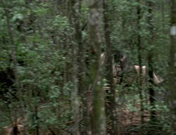 extant_XenaWarriorPrincess_3x03-TheDirtyHalfDozen_00232
