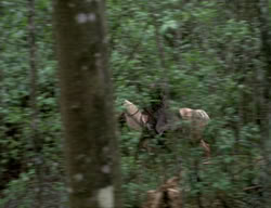extant_XenaWarriorPrincess_3x03-TheDirtyHalfDozen_00233