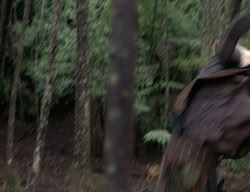 extant_XenaWarriorPrincess_3x03-TheDirtyHalfDozen_00239