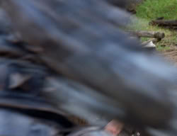 extant_XenaWarriorPrincess_3x03-TheDirtyHalfDozen_00724