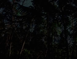 extant_XenaWarriorPrincess_3x03-TheDirtyHalfDozen_01011