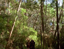 extant_XenaWarriorPrincess_3x03-TheDirtyHalfDozen_01016
