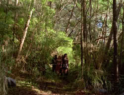 extant_XenaWarriorPrincess_3x03-TheDirtyHalfDozen_01018