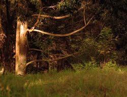 extant_XenaWarriorPrincess_3x03-TheDirtyHalfDozen_01066