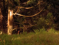 extant_XenaWarriorPrincess_3x03-TheDirtyHalfDozen_01067