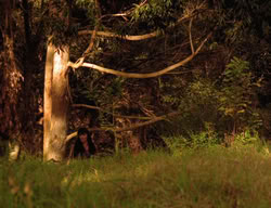 extant_XenaWarriorPrincess_3x03-TheDirtyHalfDozen_01068