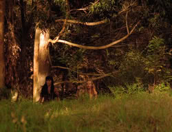 extant_XenaWarriorPrincess_3x03-TheDirtyHalfDozen_01069