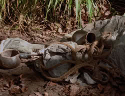 extant_XenaWarriorPrincess_3x03-TheDirtyHalfDozen_01184