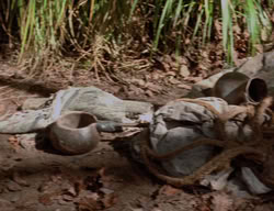 extant_XenaWarriorPrincess_3x03-TheDirtyHalfDozen_01185