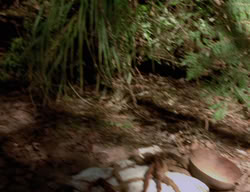 extant_XenaWarriorPrincess_3x03-TheDirtyHalfDozen_01188
