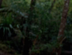 extant_XenaWarriorPrincess_3x03-TheDirtyHalfDozen_01541