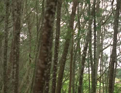 extant_XenaWarriorPrincess_3x03-TheDirtyHalfDozen_01545