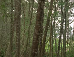 extant_XenaWarriorPrincess_3x03-TheDirtyHalfDozen_01546