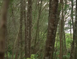 extant_XenaWarriorPrincess_3x03-TheDirtyHalfDozen_01547