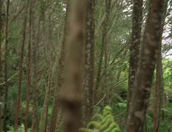 extant_XenaWarriorPrincess_3x03-TheDirtyHalfDozen_01548