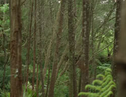 extant_XenaWarriorPrincess_3x03-TheDirtyHalfDozen_01549