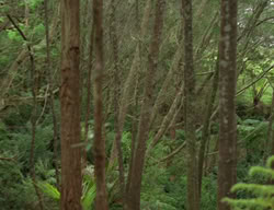 extant_XenaWarriorPrincess_3x03-TheDirtyHalfDozen_01550