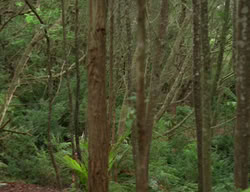extant_XenaWarriorPrincess_3x03-TheDirtyHalfDozen_01551