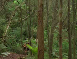 extant_XenaWarriorPrincess_3x03-TheDirtyHalfDozen_01552