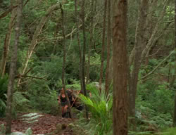 extant_XenaWarriorPrincess_3x03-TheDirtyHalfDozen_01553