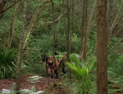 extant_XenaWarriorPrincess_3x03-TheDirtyHalfDozen_01554